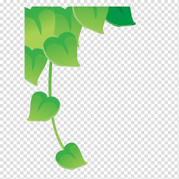 Drawing Illustration, Leaves transparent background PNG clipart