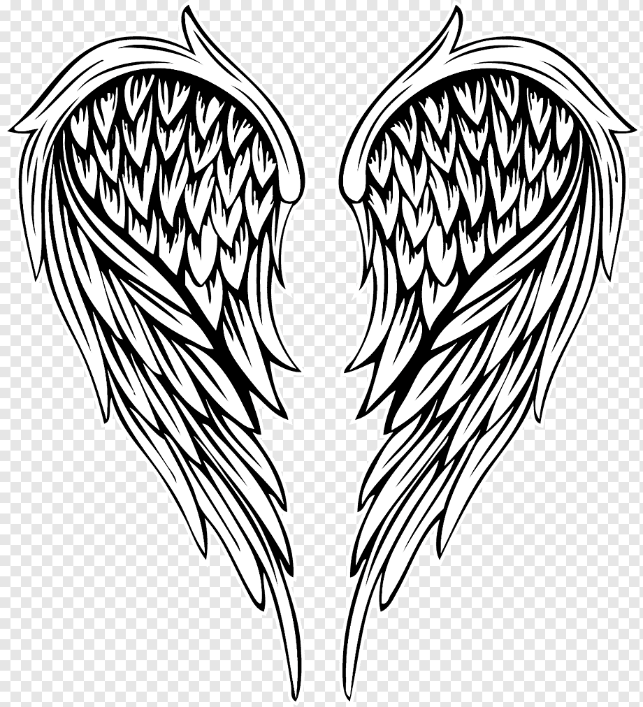 Drawing Illustration, painted feather angel wings, illustration of wings, love, watercolor Painting, painted png