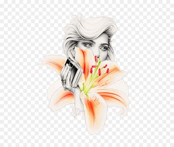 Drawing Illustrator Painting Illustration - lily 