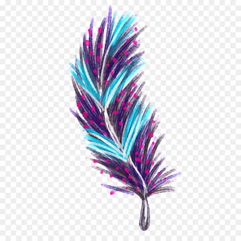 Drawing Image Feather Graphics Download - feather 
