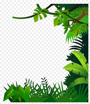 Drawing Jungle Clip art - border material 