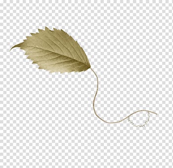 Drawing Leaf , others transparent background PNG clipart