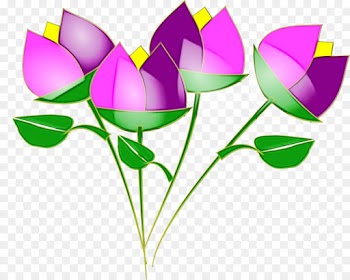 Drawing, Lily, Computer Icons, Flower, Petal PNG