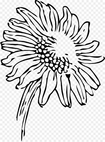 Drawing, Line Art, Art, White, Blackandwhite PNG