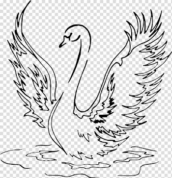 Drawing Line art Bird Black swan, festival decoration transparent background PNG clipart