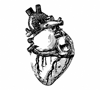 Drawing Line Art Heart Anatomy - Realistic Heart Drawing Png Free ...