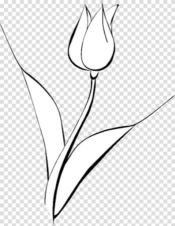 Drawing Line art Monochrome, white tulip transparent background PNG clipart