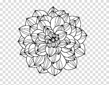 Drawing Line art , watercolor dahlia transparent background PNG clipart