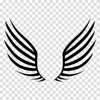 Drawing Line art , wing transparent background PNG clipart