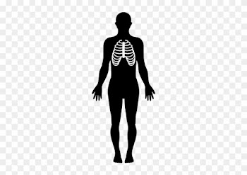 Drawing Lung Silhouette - Drawing Lung Silhouette
