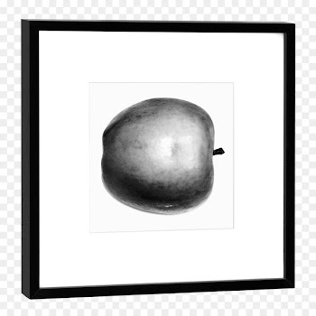 Drawing, M02csf, Black White M, Sphere, Tree PNG