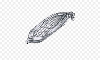 Drawing Maize painting u925bu7b46u753b - Sketch corn 