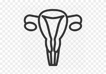 Drawing Medicine Uterus - Drawing Medicine Uterus