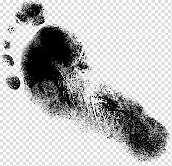 Drawing Monochrome Paper, foot print transparent background PNG clipart