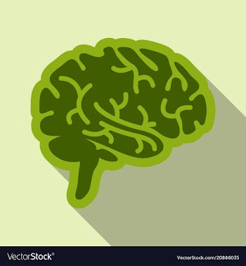 Drawing of a human brain human medicine icons vector image