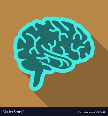 Drawing of a human brain human medicine icons vector image