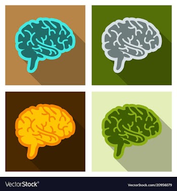 Drawing of a human brain human medicine icons vector image