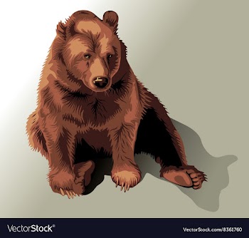 Drawing of a Sitting Bear vector image