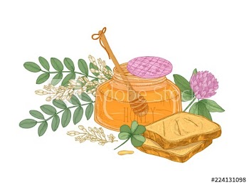 Drawing of dipper in glass jar of honey, pair of bread slices or toasts, clover flower and acacia inflorescence