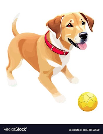drawing of golden retriever dog