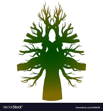 Drawing of the tree vector image