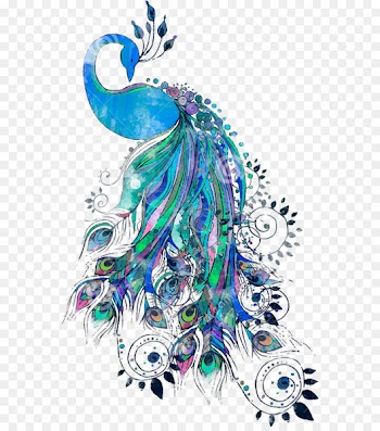 Drawing Peafowl Vector graphics Clip art Royalty-free - feather 