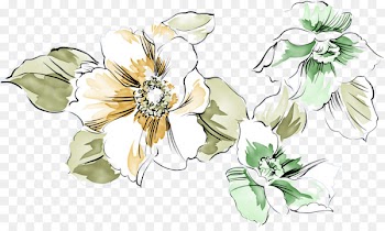 Drawing Petal painting Illustration - Flowers,flowers 