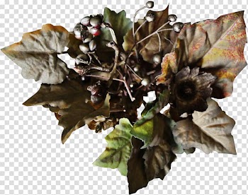 Drawing Poster Leaf, design transparent background PNG clipart
