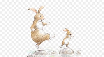 Drawing Rabbit Illustrator Childrens literature Illustration - Cute bunny 