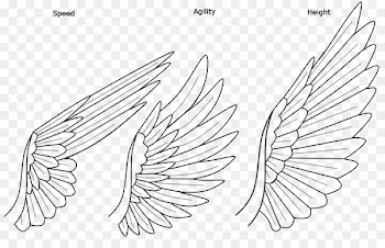 Drawing Rainbow Dash Line art DeviantArt - pegasus outline 