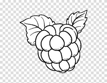 Drawing Raspberry Coloring book Fruit Cupcake, raspberry transparent background PNG clipart