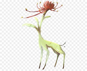 Drawing, Red Spider Lily, Art, Plant, Flower PNG