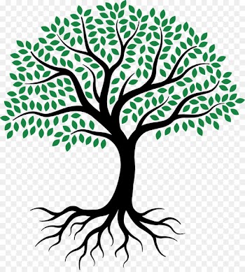Drawing Root Tree Sketch - tree of life 