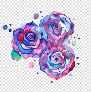 Drawing Rose Color Flower Art, watercolor cheese transparent background PNG clipart