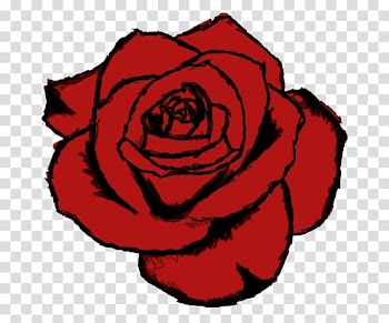 Drawing Rose Watercolor painting, rose transparent background PNG clipart