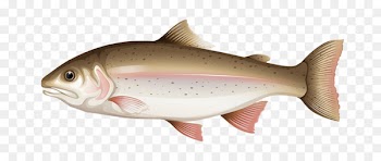 Drawing Royalty-free Clip art - Cartoon fish 