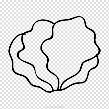 Drawing Salad Lettuce Coloring book Line art, salad transparent background PNG clipart