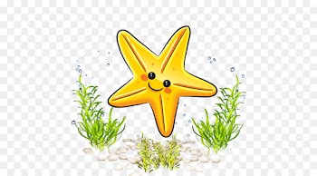 Drawing Sea Starfish Cartoon - Cartoon starfish marine life Ocean World 