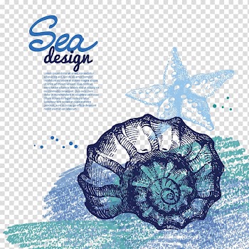 Drawing Seashell , Hand drawn snail snail and starfish transparent background PNG clipart