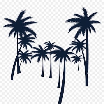 Drawing, Silhouette, Download, Palm Tree, Tree PNG