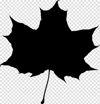 Drawing Silhouette Leaf , Leaf draw transparent background PNG clipart