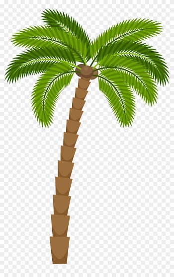 Drawing Silhouette Royalty-free Illustration - Coconut Tree For Drawing Png