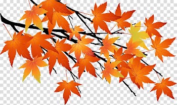 Drawing, Silhouette transparent background PNG clipart