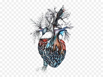 Drawing Southbound Heart Jeremy Poland Anatomy - Creative heart 