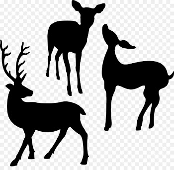 Drawing, Stencil, Painting, Mammal, Vertebrate PNG