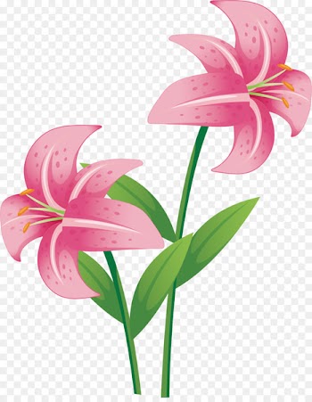Drawing Stock photography Vector graphics Image Illustration - pink larkspur flower 