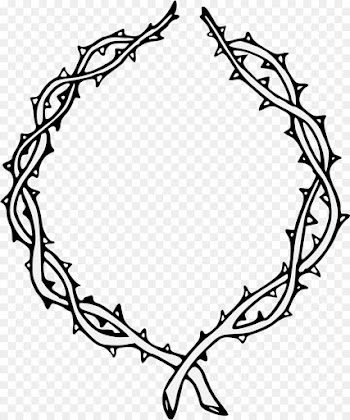 Drawing, Thorns Spines And Prickles, Crown Of Thorns, Branch, Leaf PNG