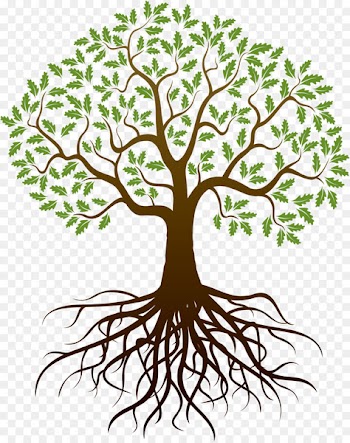 Drawing Tree Root - reunion 