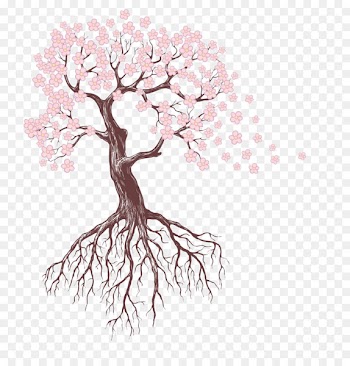 Drawing Tree Root Sketch - Pink cherry blossoms 