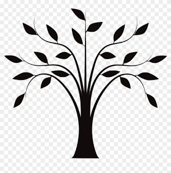 Drawing Tree Trunk Clip Art - Line Drawing Of Tree